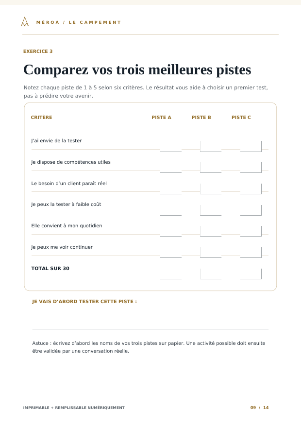 Aperçu — La matrice des trois pistes